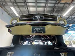 1965 Ford Mustang (CC-1915541) for sale in Bradenton, Florida