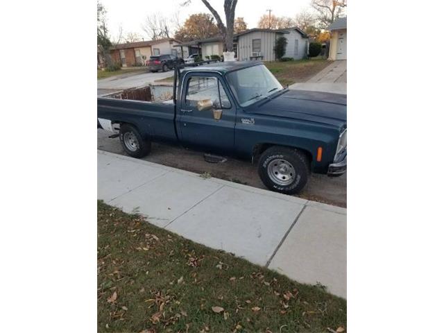 1979 Chevrolet Custom (CC-1915869) for sale in Cadillac, Michigan