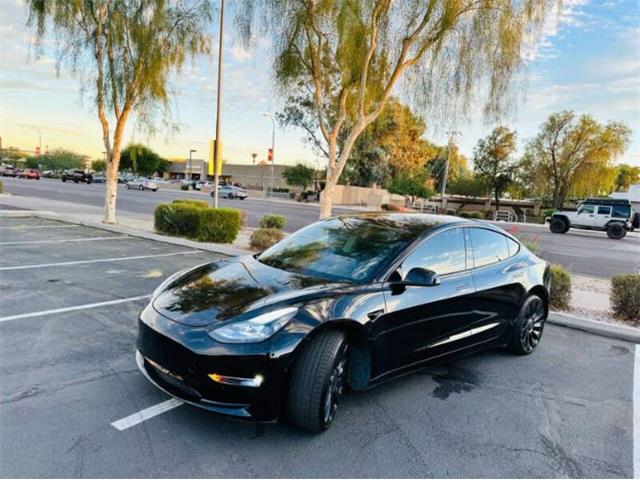 2021 Tesla Model 3 (CC-1916134) for sale in Cadillac, Michigan