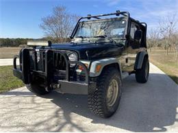 1998 Jeep Wrangler (CC-1916149) for sale in Cadillac, Michigan