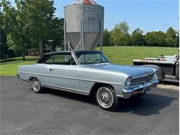 1966 Chevrolet Nova SS (CC-1916213) for sale in Greensboro, North Carolina