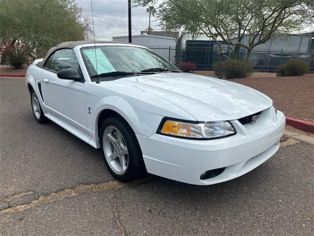 1999 Ford Mustang Cobra (CC-1916917) for sale in Mesa, Arizona