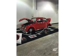 1967 Volkswagen Beetle (CC-1916922) for sale in Mesa, Arizona