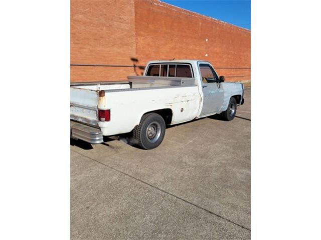 1979 Chevrolet Silverado (CC-1917574) for sale in Cadillac, Michigan