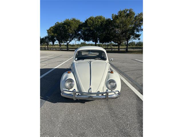 1969 Volkswagen Beetle (CC-1917788) for sale in Delray Beach, Florida