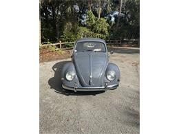 1968 Volkswagen Beetle (CC-1917791) for sale in Delray Beach, Florida