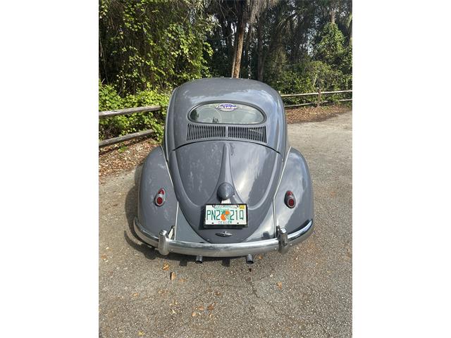 1968 Volkswagen Beetle (CC-1917791) for sale in Delray Beach, Florida