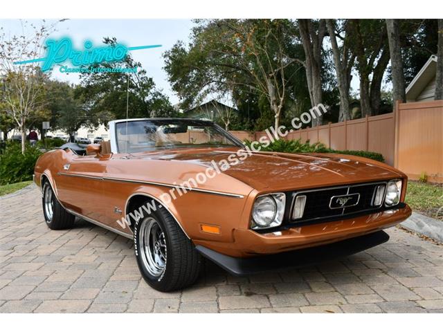 1973 Ford Mustang (CC-1917922) for sale in Lakeland, Florida