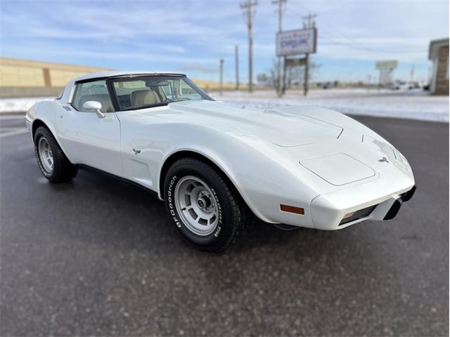 1979 Chevrolet Corvette (CC-1917940) for sale in Ramsey, Minnesota