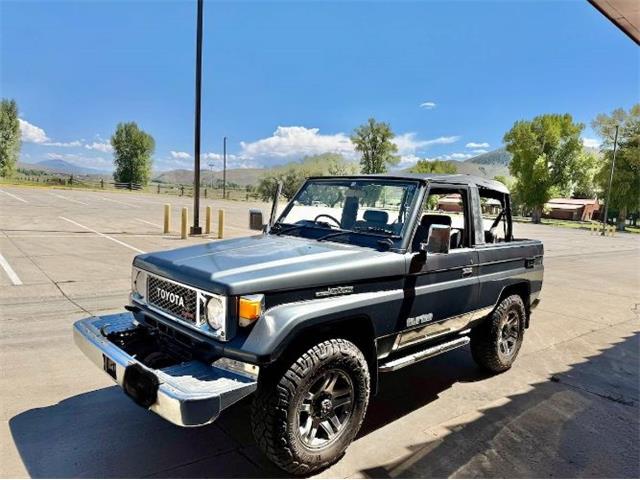 1987 Toyota Land Cruiser (CC-1918210) for sale in Cadillac, Michigan