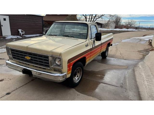 1976 Chevrolet C20 (CC-1918218) for sale in Cadillac, Michigan