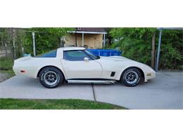 1981 Chevrolet Corvette (CC-1918244) for sale in Cadillac, Michigan