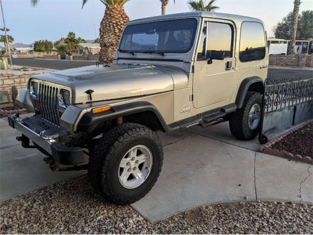 1989 Jeep Wrangler (CC-1918439) for sale in Cadillac, Michigan