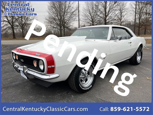 1967 Chevrolet Camaro (CC-1918516) for sale in Paris , Kentucky