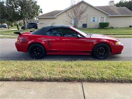 1999 Ford Mustang Cobra (CC-1918592) for sale in Lakeland, Florida