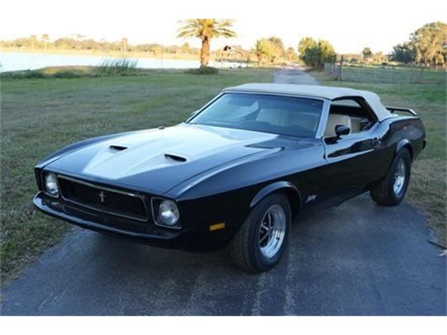 1973 Ford Mustang (CC-1918877) for sale in Lakeland, Florida