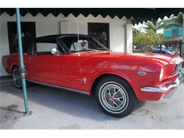 1966 Ford Mustang (CC-1910894) for sale in Lantana, Florida