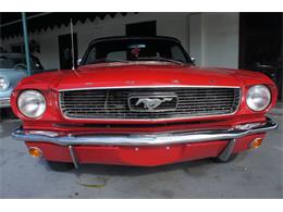 1966 Ford Mustang (CC-1910894) for sale in Lantana, Florida