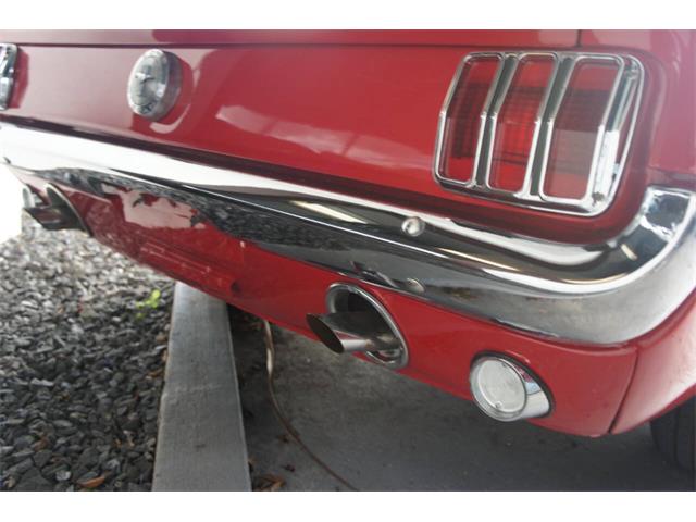 1966 Ford Mustang (CC-1910894) for sale in Lantana, Florida