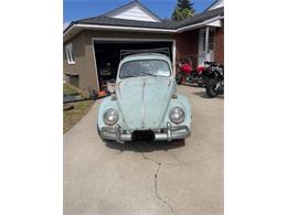 1964 Volkswagen Beetle (CC-1919067) for sale in Cadillac, Michigan