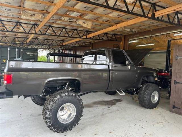 1984 Chevrolet C10 (CC-1919308) for sale in Cadillac, Michigan