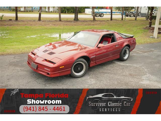 1986 Pontiac Firebird Trans Am (CC-1919374) for sale in Palmetto, Florida