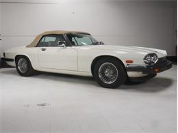 1987 Jaguar XJS (CC-1919436) for sale in Reno, Nevada