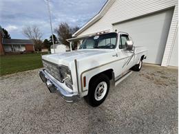 1977 Chevrolet C20 (CC-1919454) for sale in Lakeland, Florida