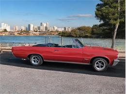 1964 Pontiac GTO (CC-1919518) for sale in Punta Gorda, Florida