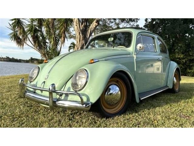 1961 Volkswagen Beetle (CC-1919716) for sale in Lakeland, Florida