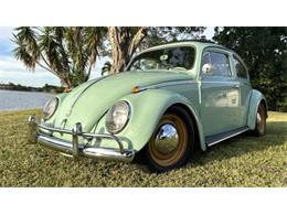 1961 Volkswagen Beetle (CC-1919716) for sale in Lakeland, Florida