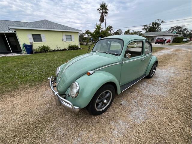 1965 Volkswagen Beetle (CC-1919958) for sale in Lakeland, Florida