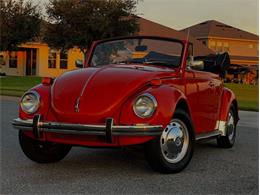 1971 Volkswagen Super Beetle (CC-1919970) for sale in Lakeland, Florida