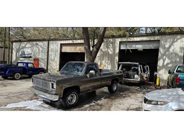 1977 Chevrolet Silverado (CC-1921257) for sale in Lakeland, Florida