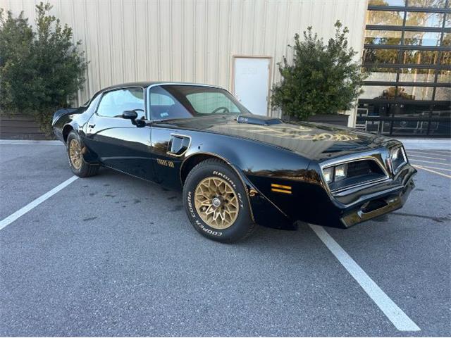 1978 Pontiac Firebird Trans Am (CC-1920126) for sale in Cadillac, Michigan