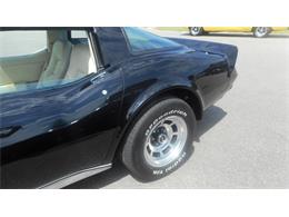 1979 Chevrolet Corvette (CC-1921399) for sale in Greenville, North Carolina