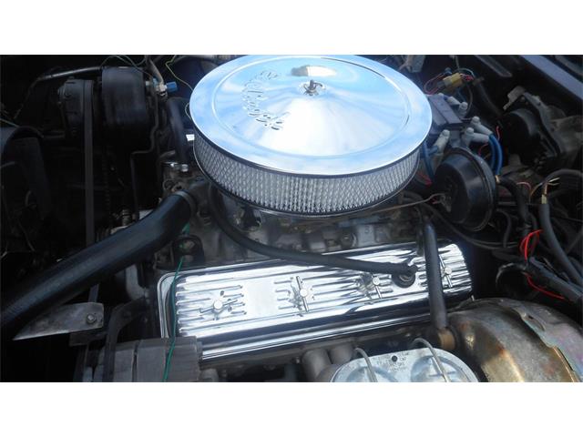 1979 Chevrolet Corvette (CC-1921399) for sale in Greenville, North Carolina