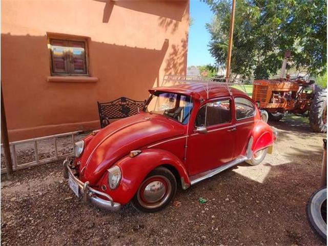 1965 Volkswagen Beetle (CC-1920145) for sale in Cadillac, Michigan