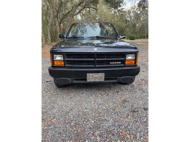 1989 Dodge Dakota (CC-1921469) for sale in Hollister, Florida