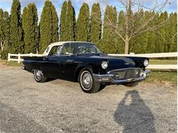 1957 Ford Thunderbird (CC-1920163) for sale in Lakeland, Florida