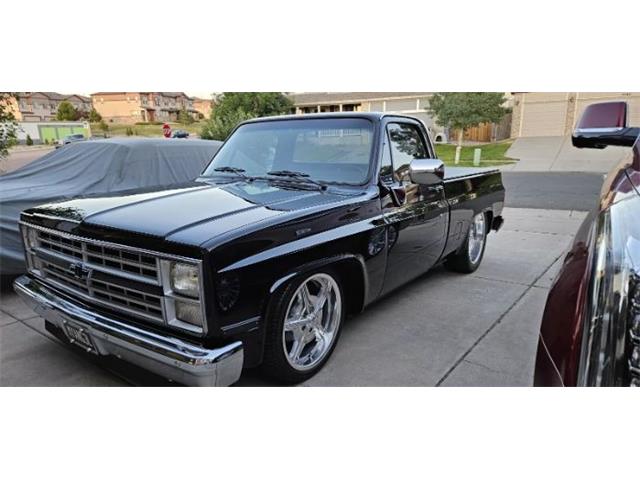 1984 Chevrolet C10 (CC-1922255) for sale in Cadillac, Michigan