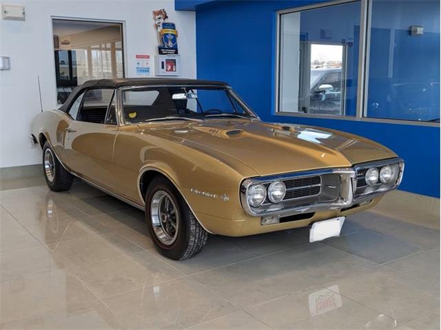 1967 Pontiac Firebird (CC-1920247) for sale in Punta Gorda, Florida