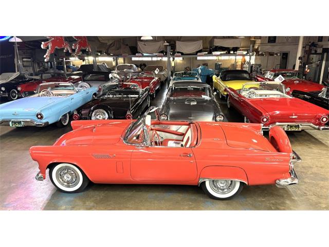 1956 Ford Thunderbird (CC-1922523) for sale in Dallas, Texas