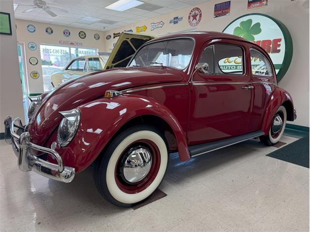 1964 Volkswagen Beetle (CC-1922575) for sale in Greensboro, North Carolina