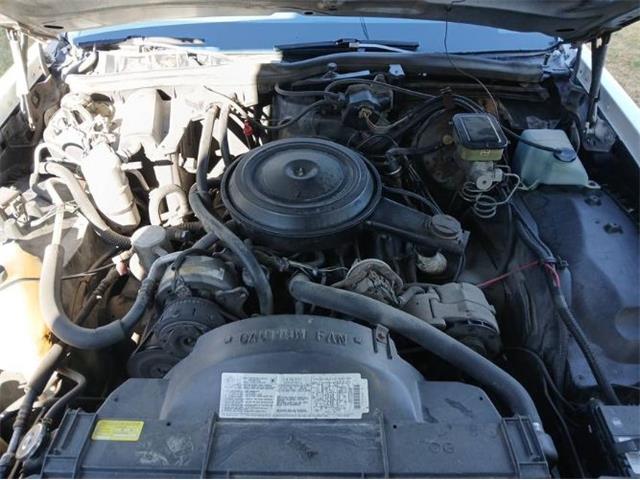 1984 Buick LeSabre (CC-1922611) for sale in Cadillac, Michigan