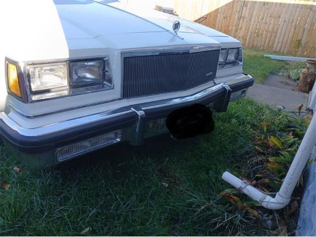 1984 Buick LeSabre (CC-1922611) for sale in Cadillac, Michigan