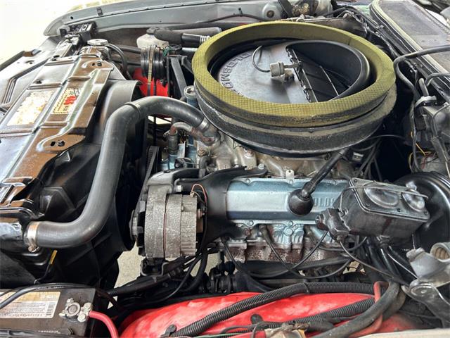 1971 Oldsmobile 442 (CC-1922684) for sale in Bradington, Florida