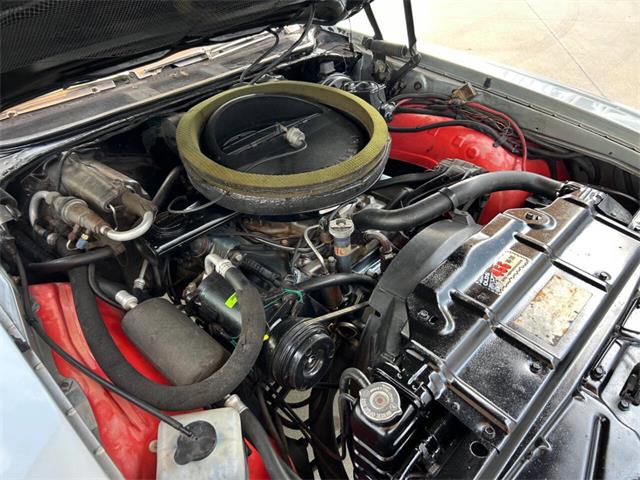 1971 Oldsmobile 442 (CC-1922684) for sale in Bradington, Florida