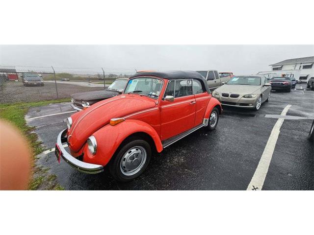 1970 Volkswagen Super Beetle (CC-1922717) for sale in Lakeland, Florida