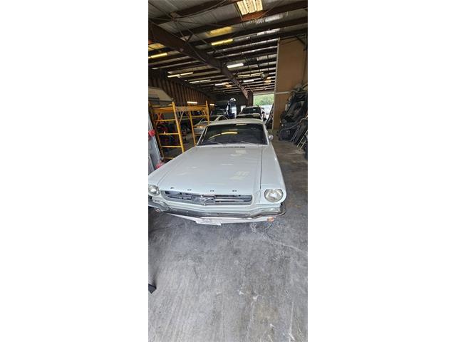 1965 Ford Mustang (CC-1922722) for sale in Lakeland, Florida